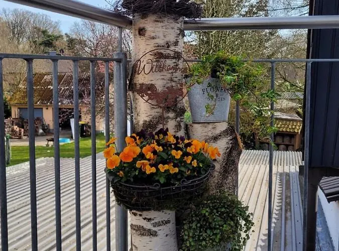 Reiners Schneverdingen